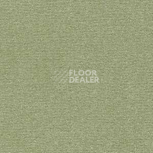 Ковролин Radici Nexus Menta 8276 фото 1 | FLOORDEALER